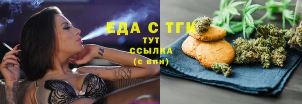 твердый Бородино