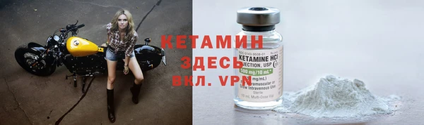 твердый Бородино