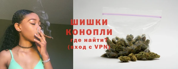 твердый Бородино