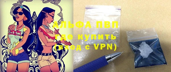 твердый Бородино