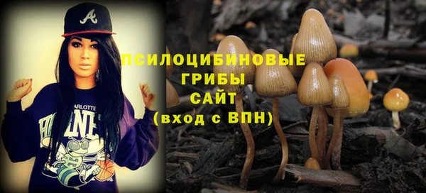 твердый Бородино