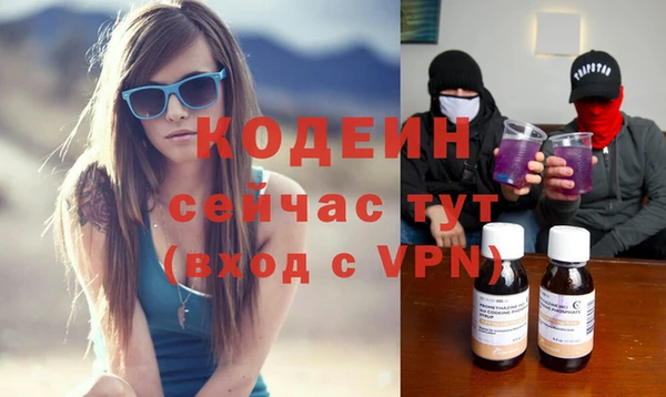 твердый Бородино