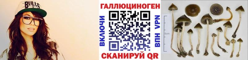 Галлюциногенные грибы Cubensis  Новохопёрск 